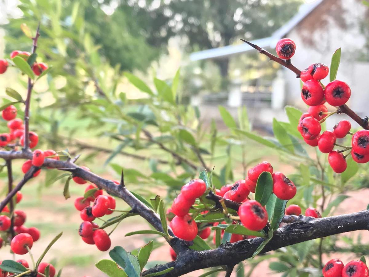 Rose Cottage @ Gods' Haven Eco Estate Underberg Ngoại thất bức ảnh